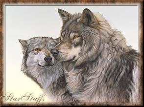 StarStuffs Wolf Gallery of Images wolf images, wolf animal totems, wolf spirit guides, wolf guides, wolf animal guides, wolf pictures, wolf quotes, quotes of wolves, wolves, wolf pairs, wolf packs, lone wolves, wolf Spirit white wolves, gray wolves, silver wolves, nativie american spirituality, shamanism