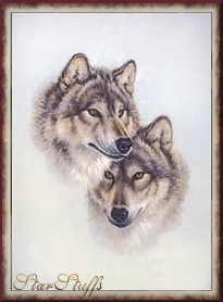 Wolf Gallery of Images by StarStuffs wolf pictures, wolves, wolf pairs, wolf packs, lone wolves, wolf Spirit white wolves, gray wolves, silvers wolves, wolf sayings nativie american spirituality, shamanism, wolf network, pride of the pack